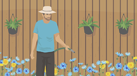Backyard Bounty: How to Eat the Wild Plants in Your Yard
