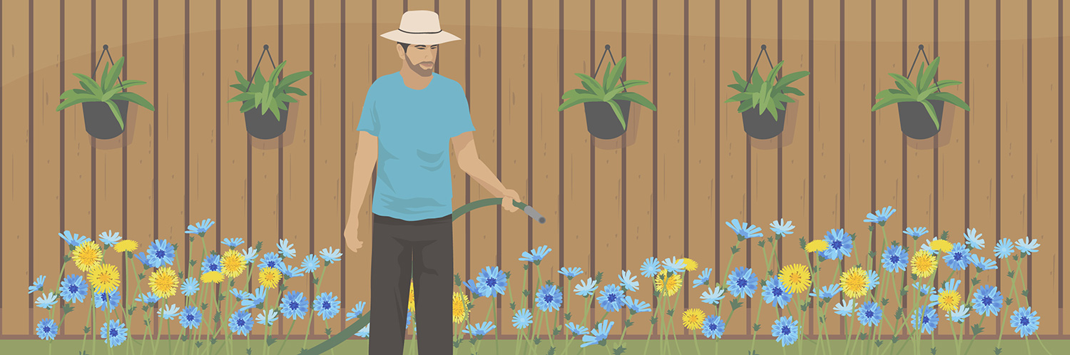 Backyard Bounty: How to Eat the Wild Plants in Your Yard