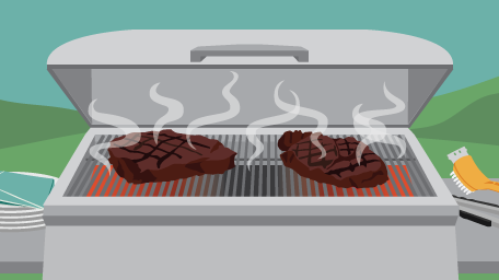 Steak Cuts Grilling Guide