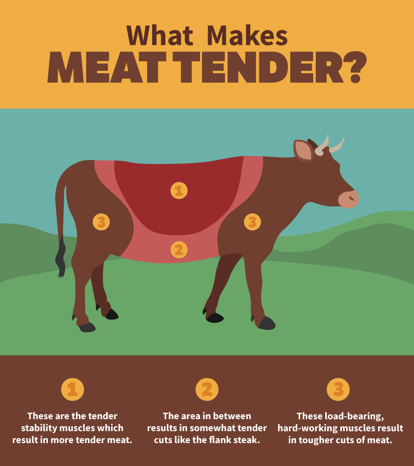 Steak Cuts Grilling Guide: What Makes Meat Tender