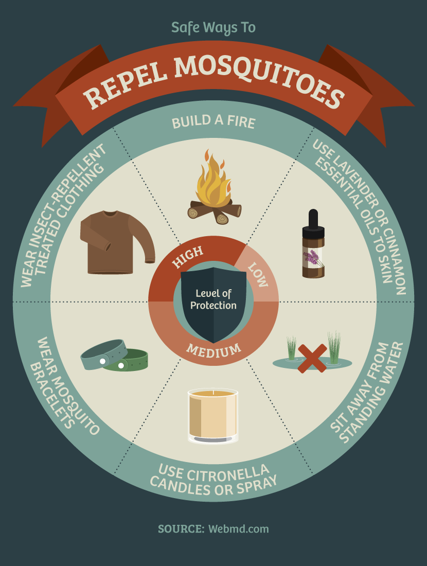 Mosquito Repellents - Preventing Camping Mishaps