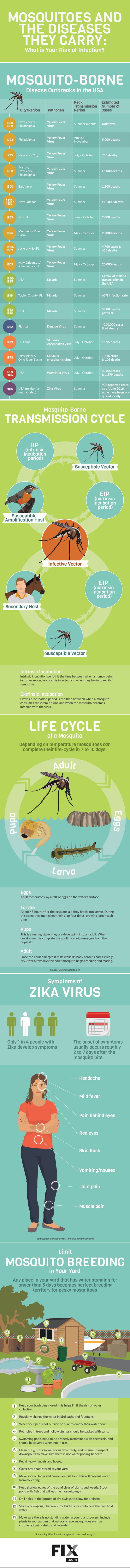 Mosquitoes and the Diseases They Carry: What is Your Risk of Infection?