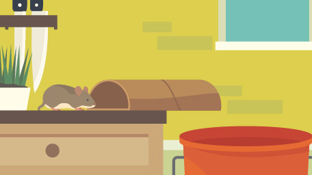 City Critters