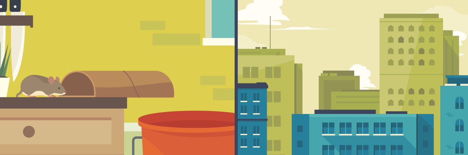 City Critters