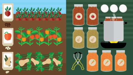 How to Use Your Excess Harvest