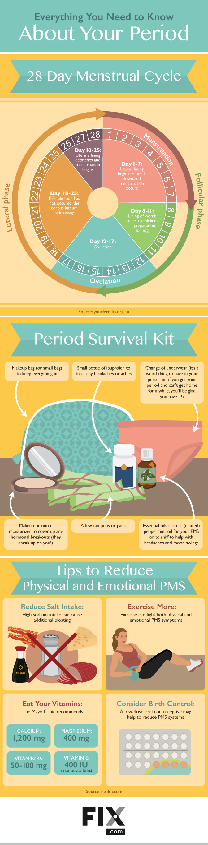 Everything You Need to Know About Your Period