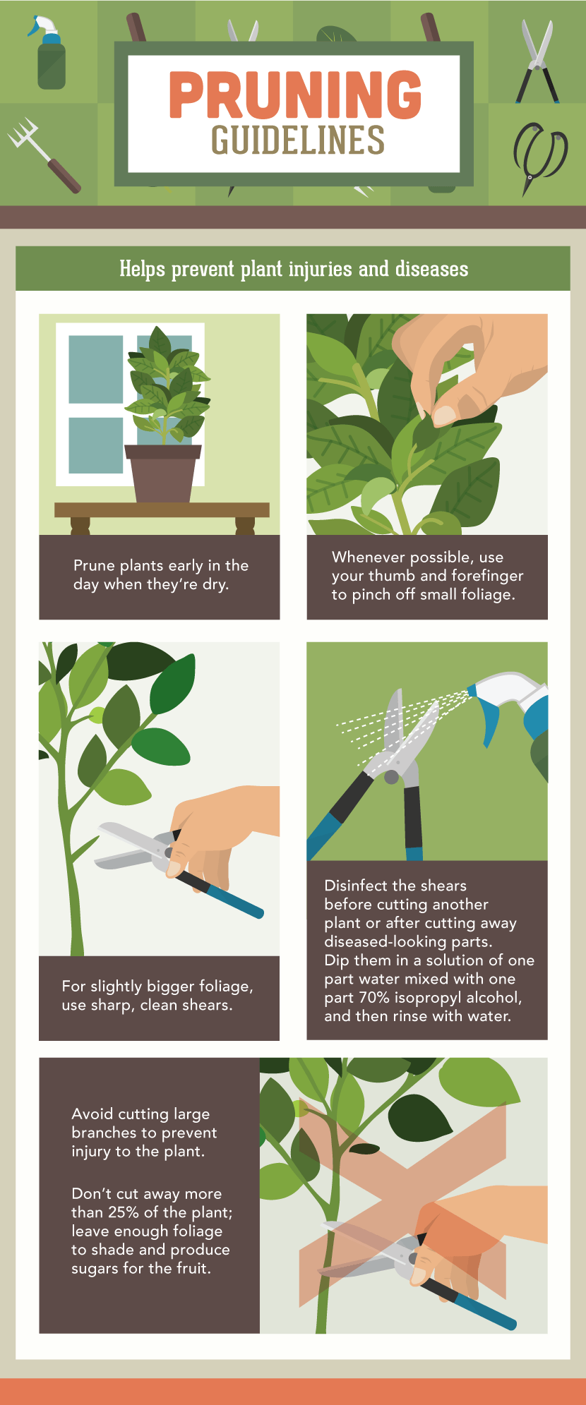 Pruning Guidelines - Vegetable Pruning Guide