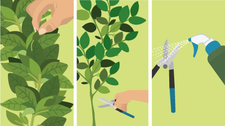 Cut to Size: