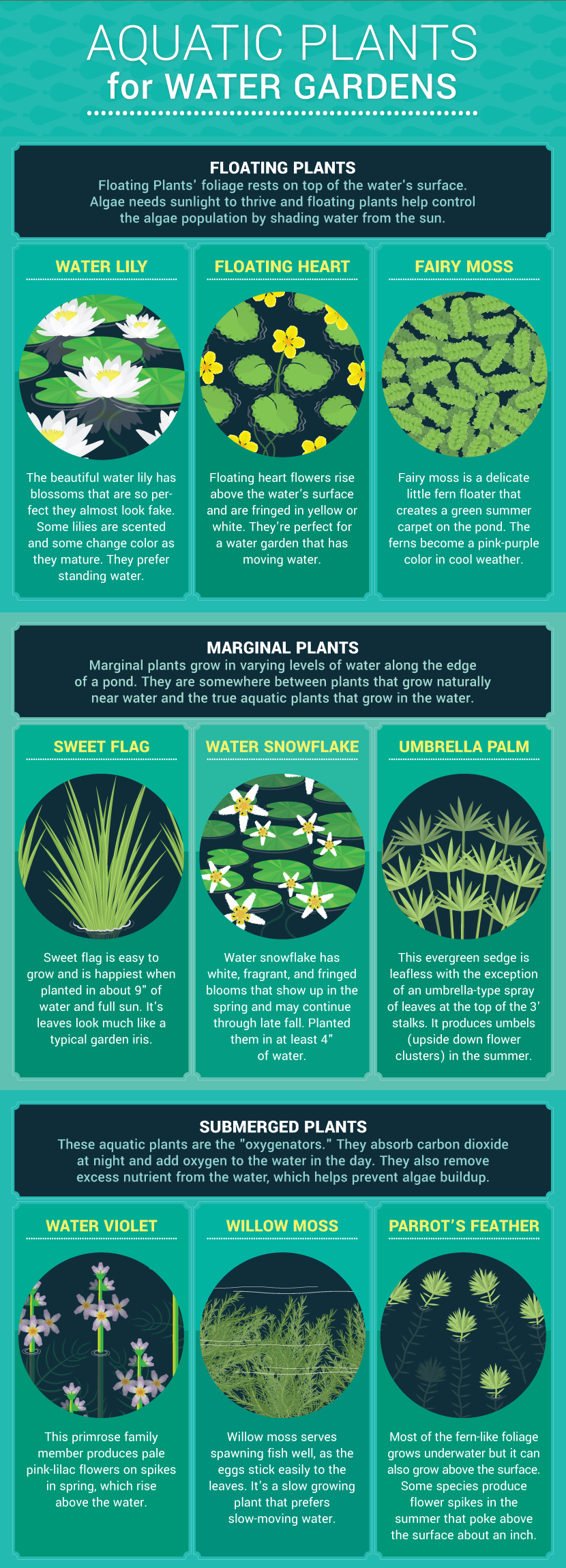 Aquatic Plants For Water Gardens - Water Features For Small Gardens