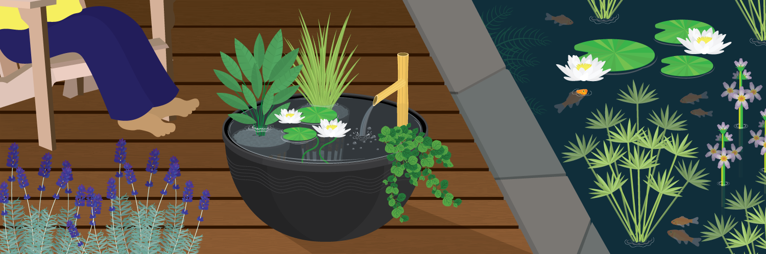 Water Features for Small Gardens