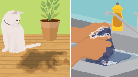 Banish Household Stains: