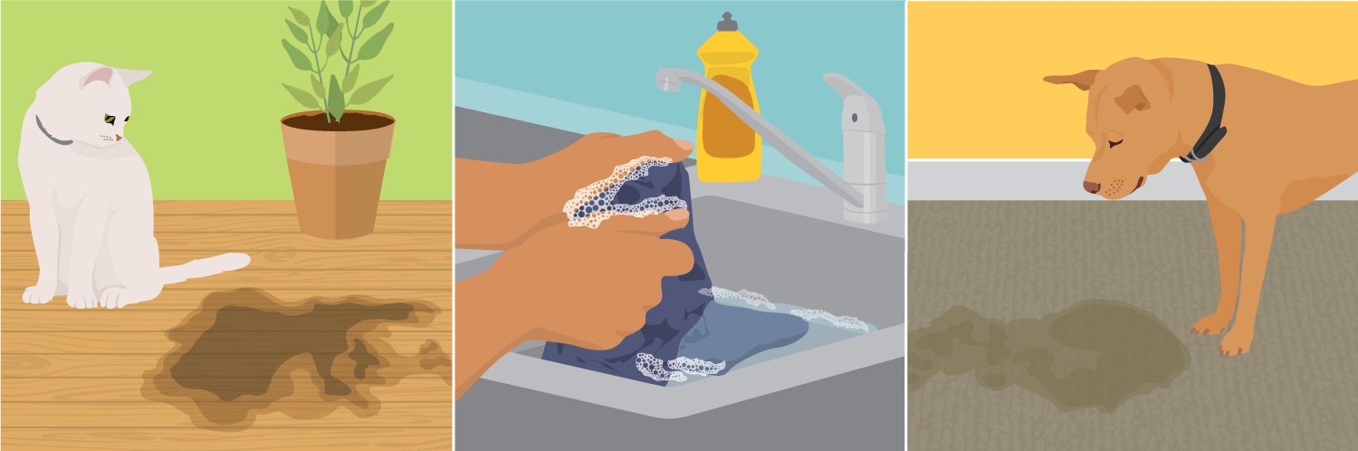 Banish Household Stains: