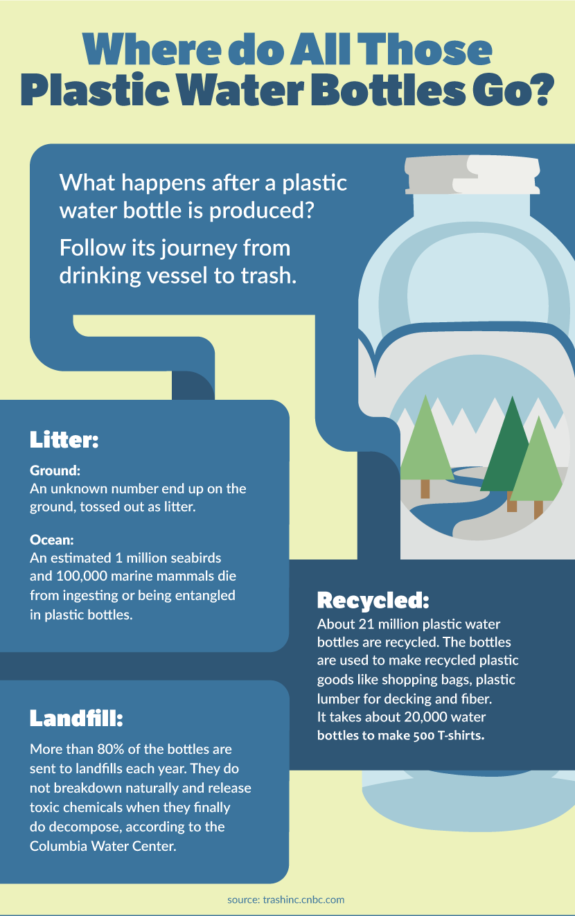 Where Do Plastic Water Bottles Go - Green Workout