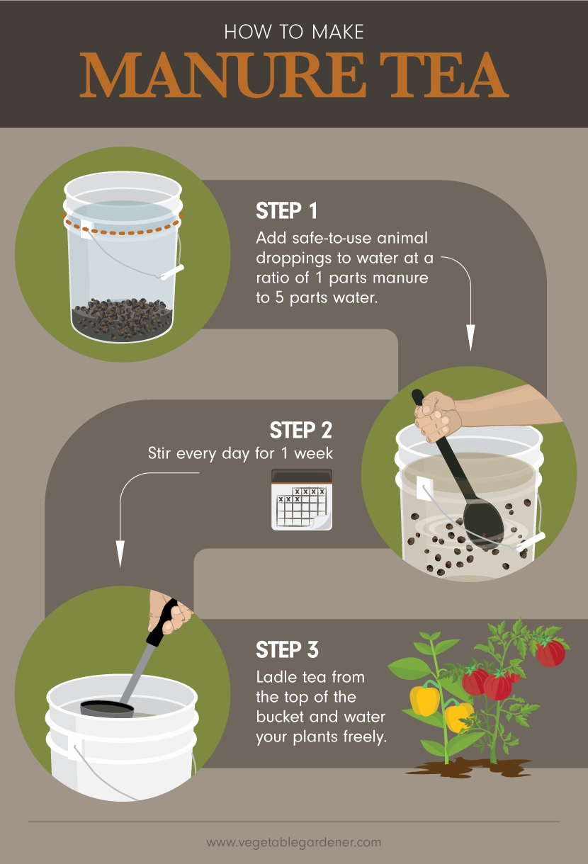 Making Manure Tea - Using Animal Waste as Garden Fertilizer