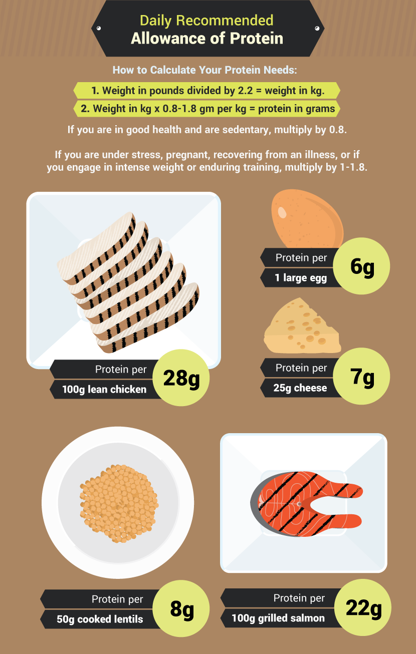Daily Allowance of Protein - Health Benefits of a High-Protein Breakfast