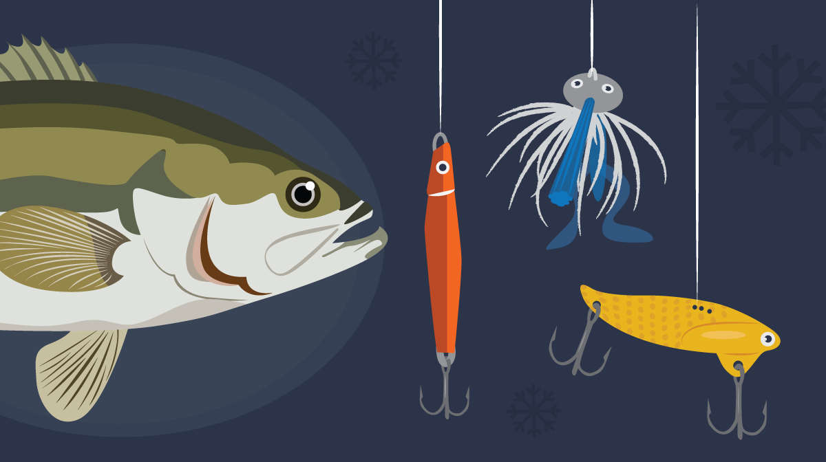 10 Bass Fishing Lures Every Angler ...shopkarls.com