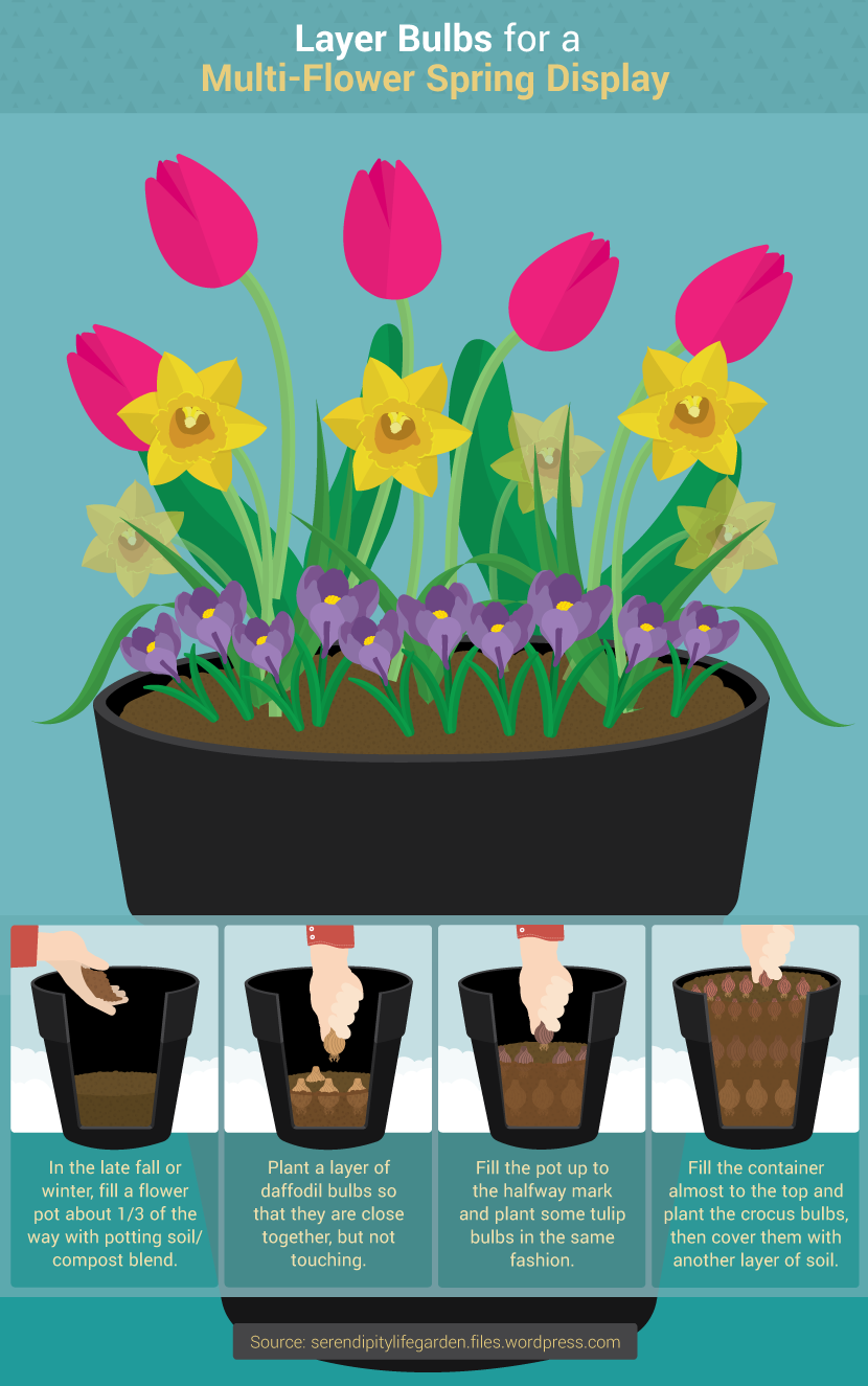 Multi-Flower Spring Display - Small-Space Gardening Tips