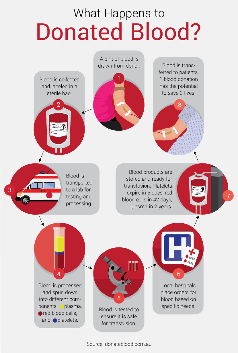 What Happens to Donated Blood - Guide to Donating Blood