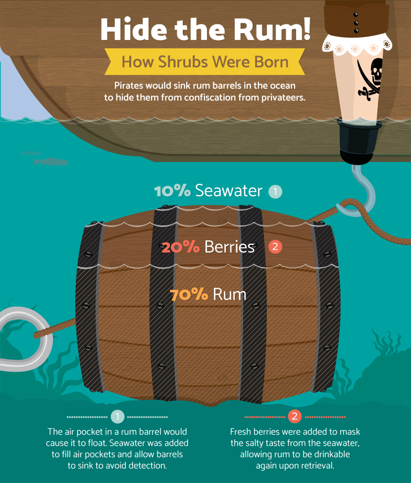 Hide the Shrub - A Guide to Shrub Cocktails
