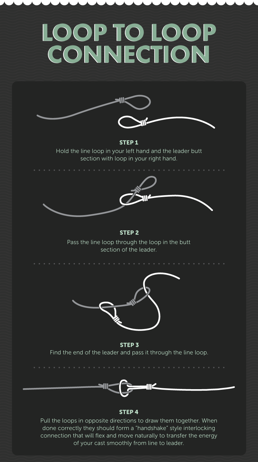Loop-to-Loop Connection - Knots for Fly-Fishing