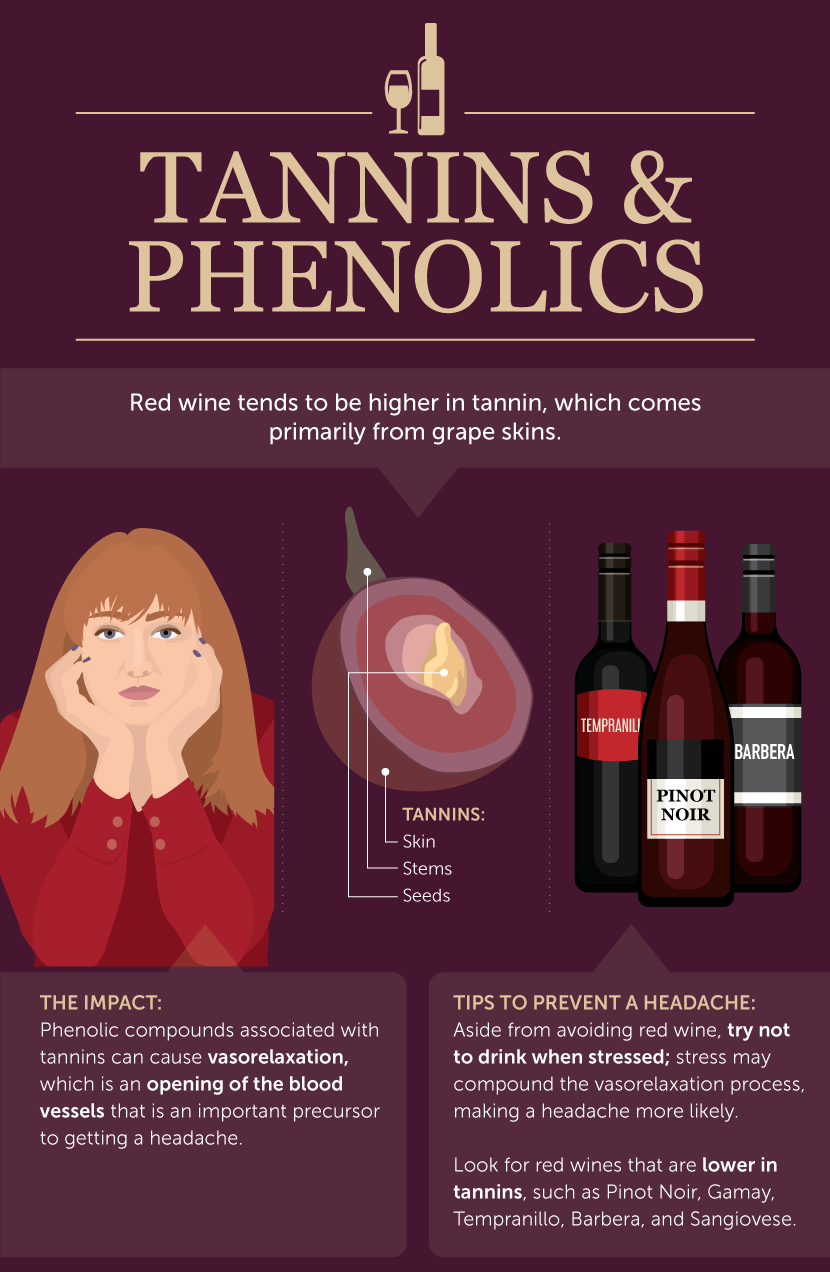How Tannins and Phenolics Contribute to Red Wine Headaches - What Causes Red Wine Headaches?