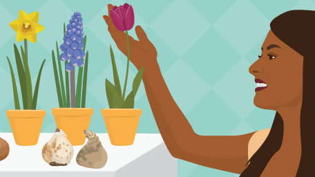 Forcing Bulbs: