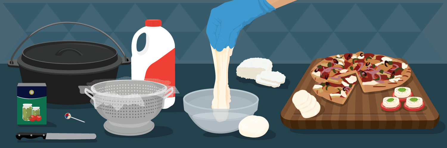 Mozzarella Made Easy
