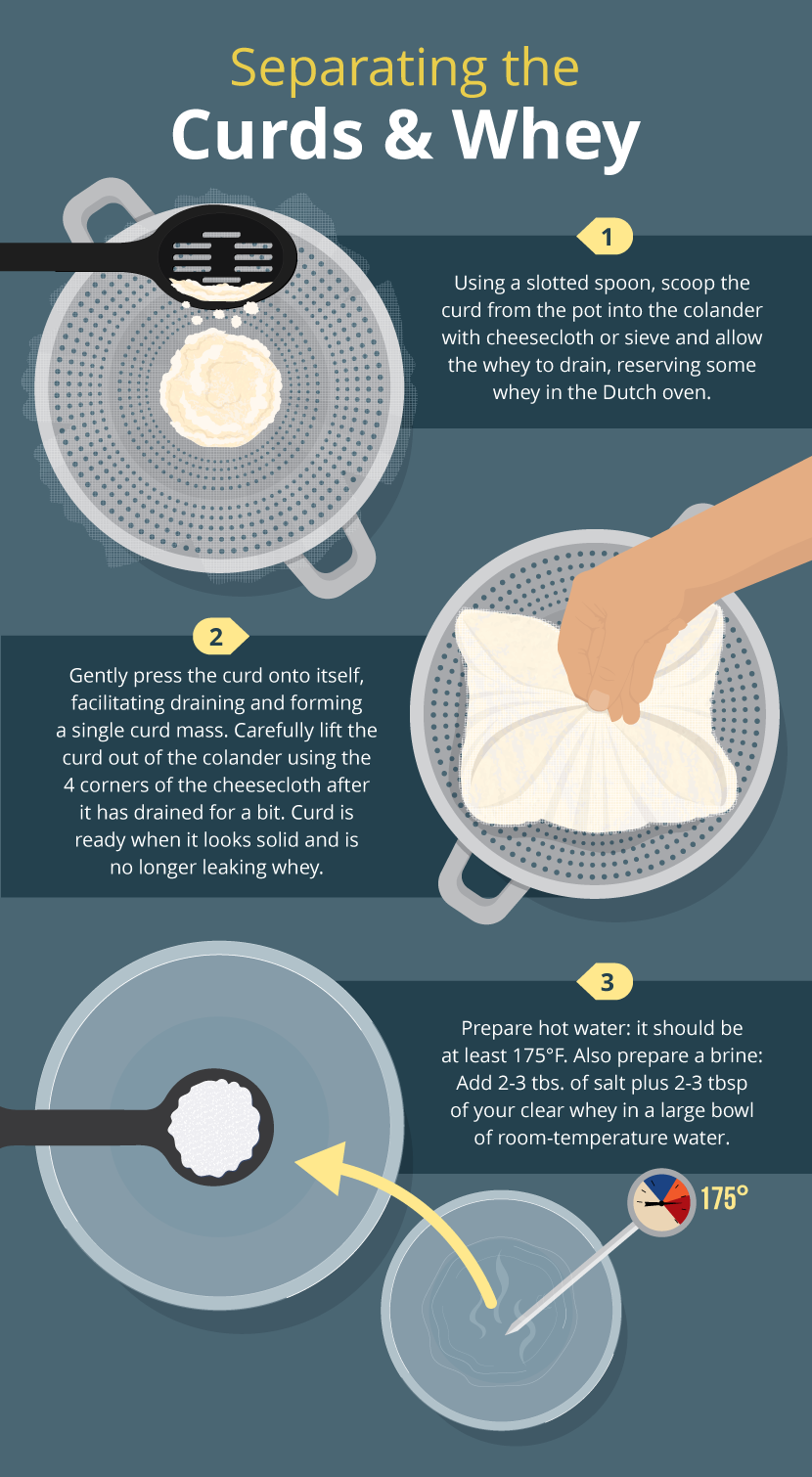 Separating Curds and Whey - Mozzarella Made Easy
