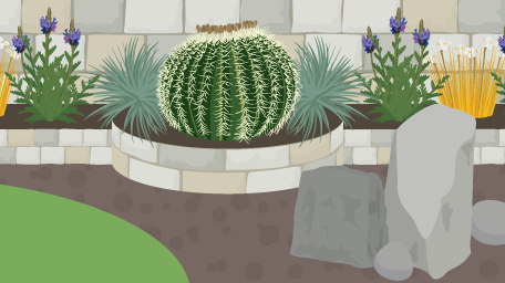 Gardening in a Drought: