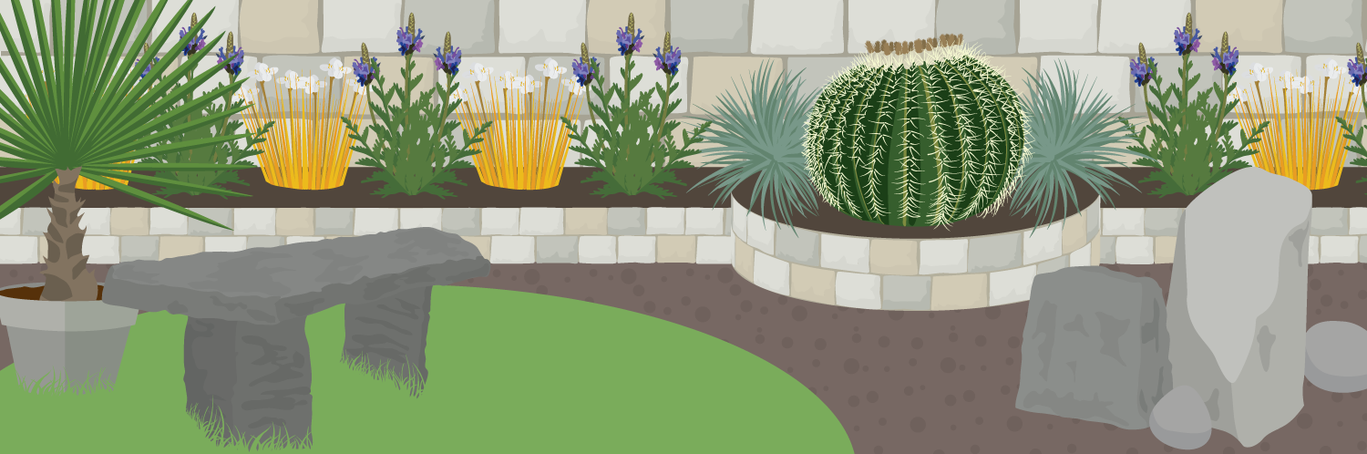 Gardening in a Drought: