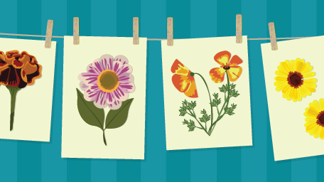 Crafting with Dry Flowers