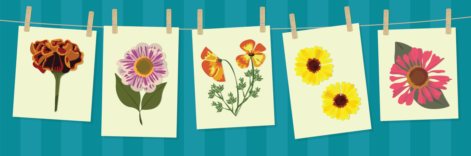 Crafting with Dry Flowers