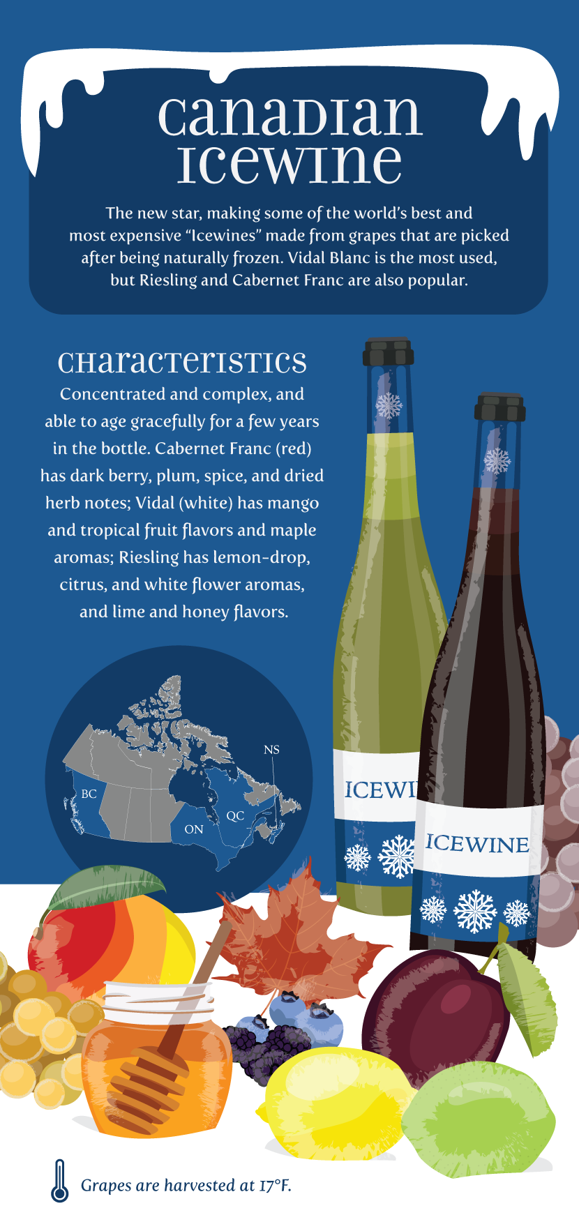 Canadian Icewine - An Ice Wine Primer