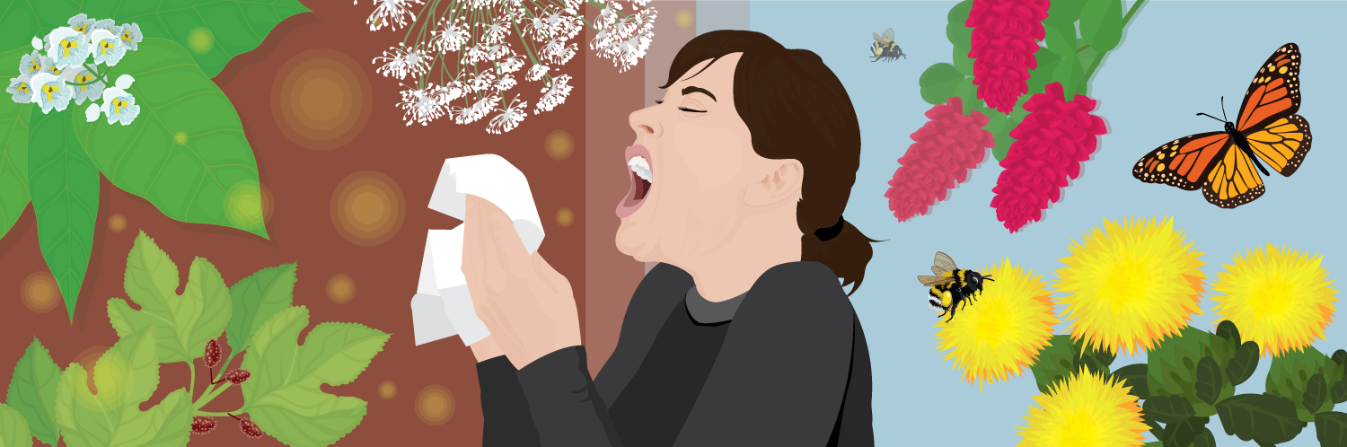 Create a Sneeze-Free Garden