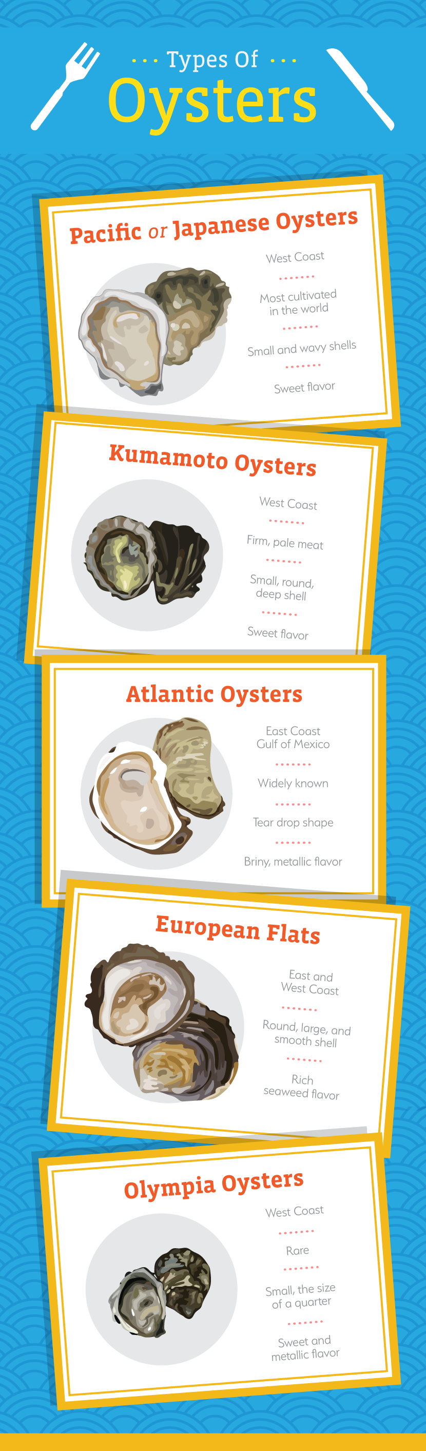 Types of Oysters - An Oyster Guide