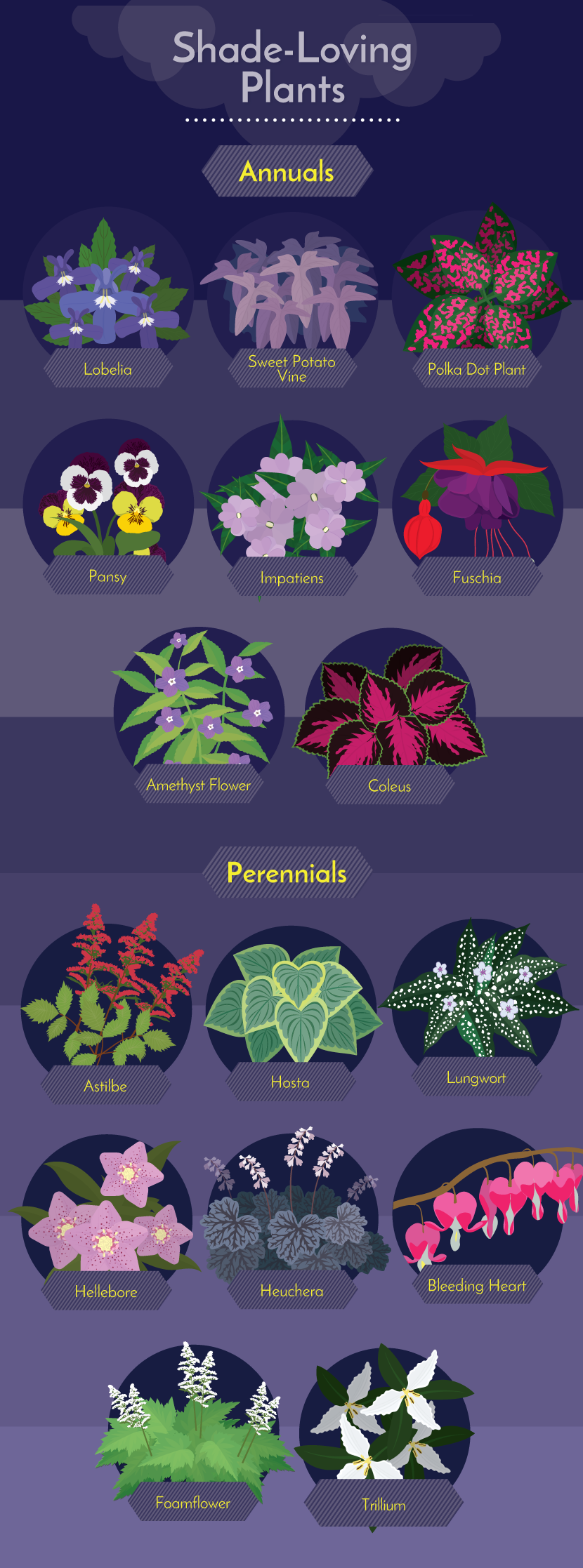 Shade-Loving Plants - Working With Challenging Garden Styles