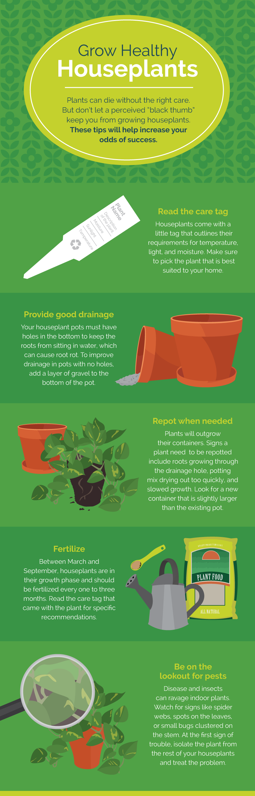 Grow Healthy Houseplants - Indoor Gardening for Mindfulness