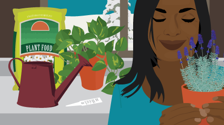 Indoor Gardening for Mindfulness