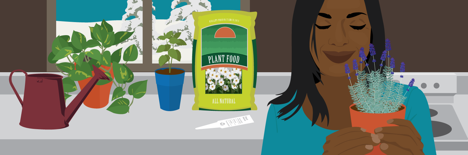 Indoor Gardening for Mindfulness