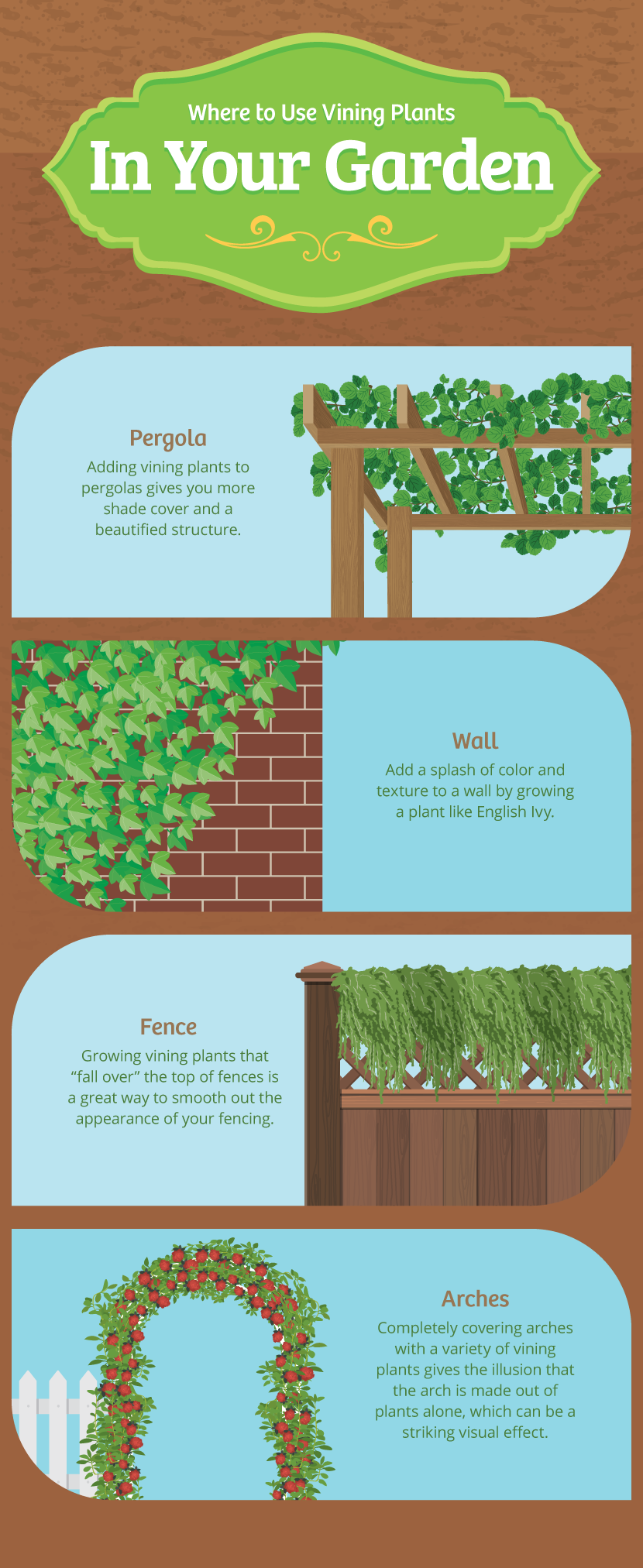 Where to Plant Vines - A Simple Guide to Gardening With Vines