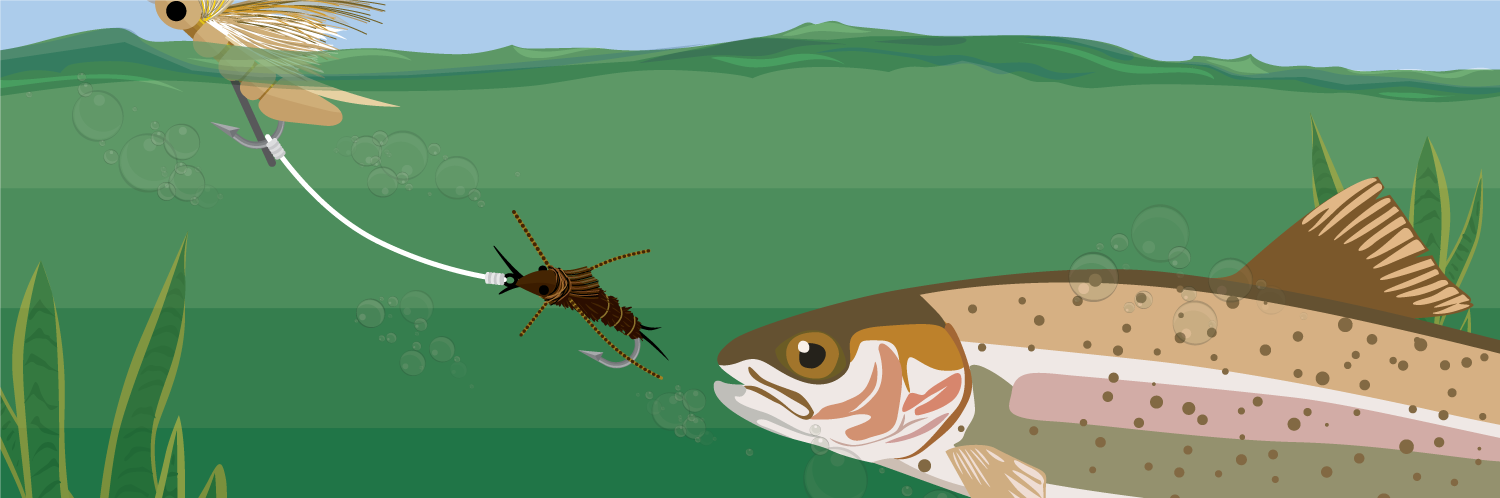 Try Multiple Fly Rigs for Trout Fishing Success