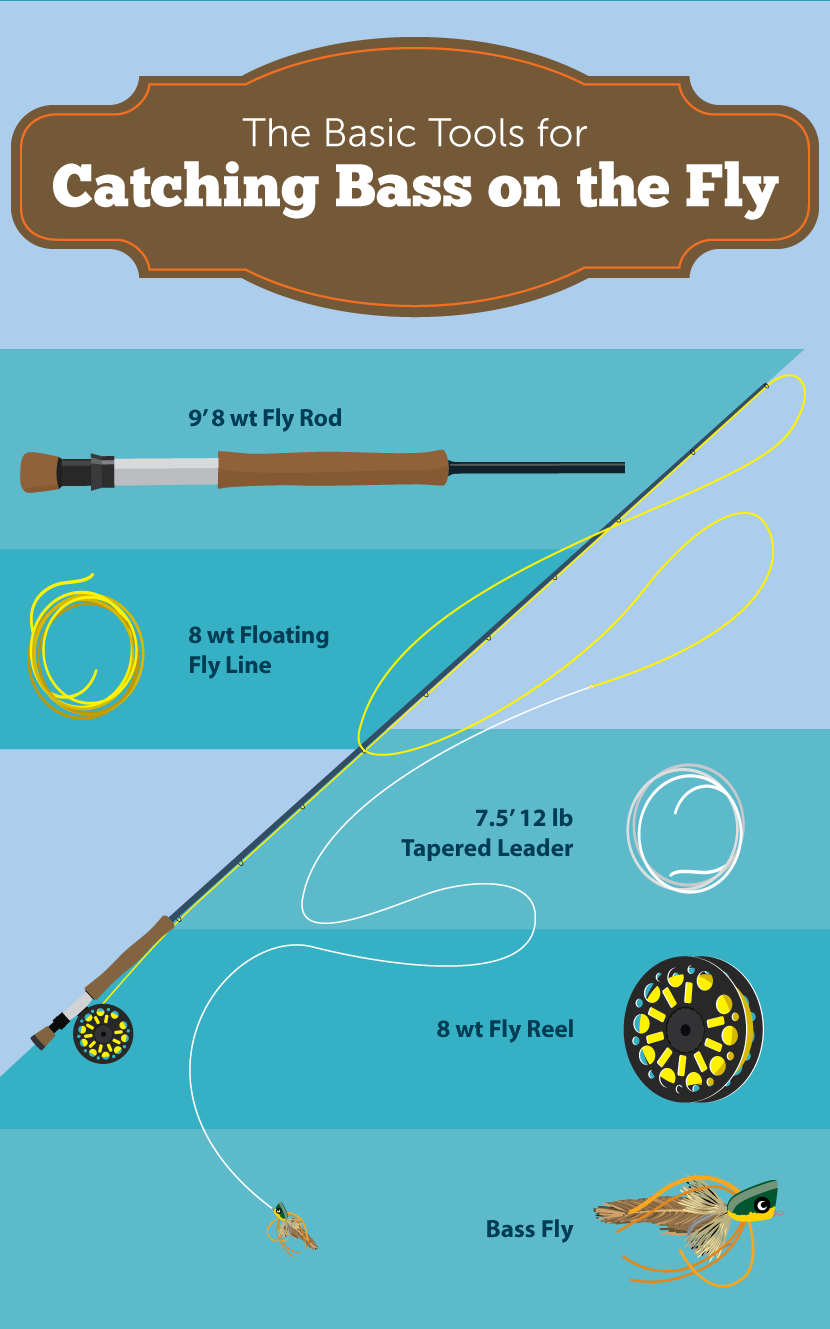 Catching Bass With a Fly Rod | Fix.com