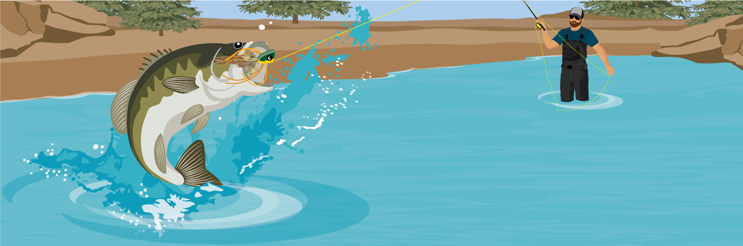 How to Catch Bass on a Fly Rod