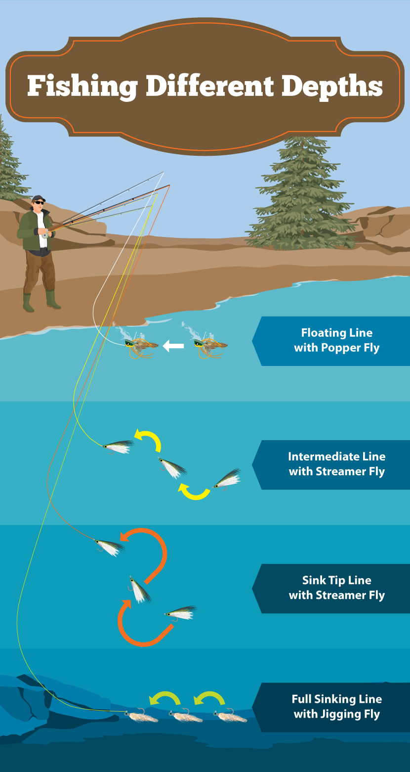 Fishing Different Depths - How to Catch Bass on a Fly Rod