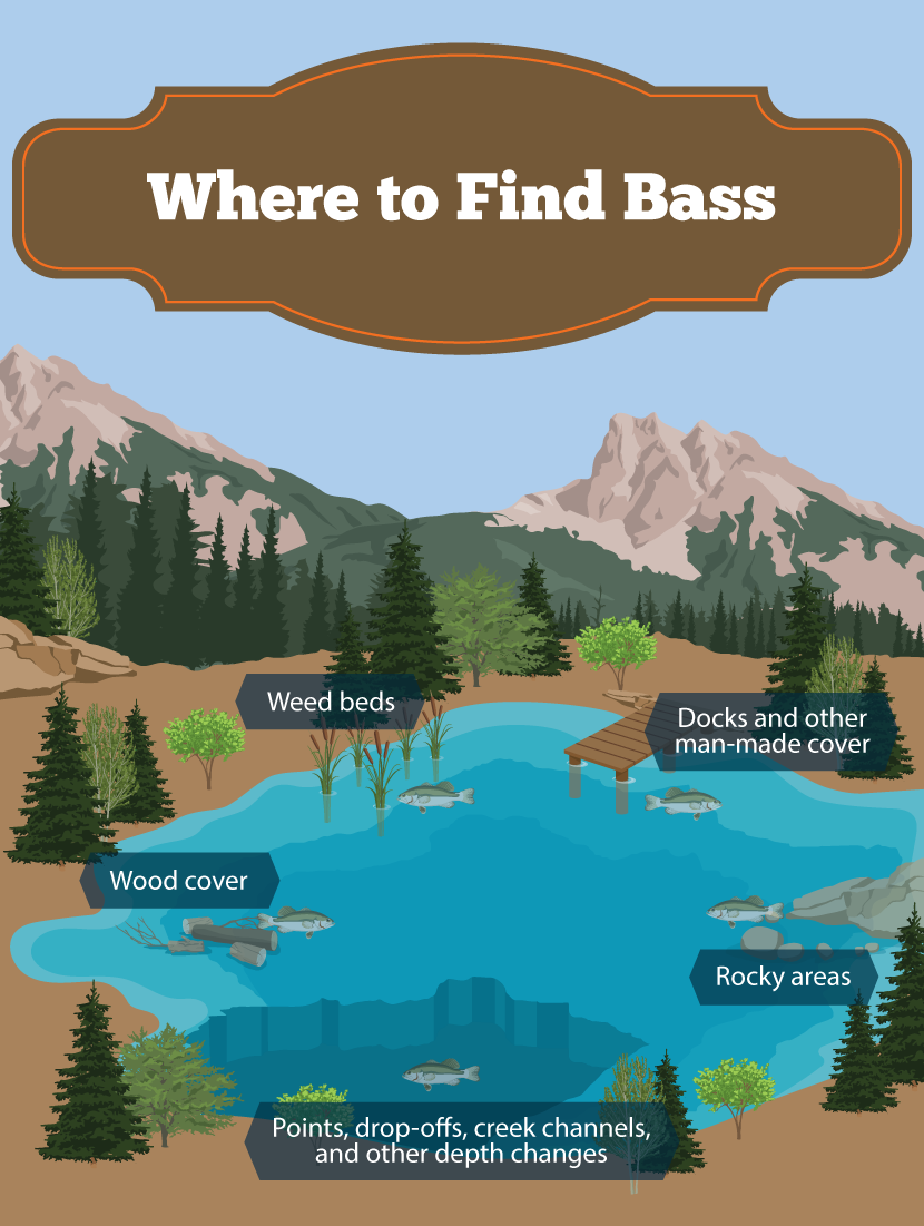 Where to Find Bass - How to Catch Bass on a Fly Rod