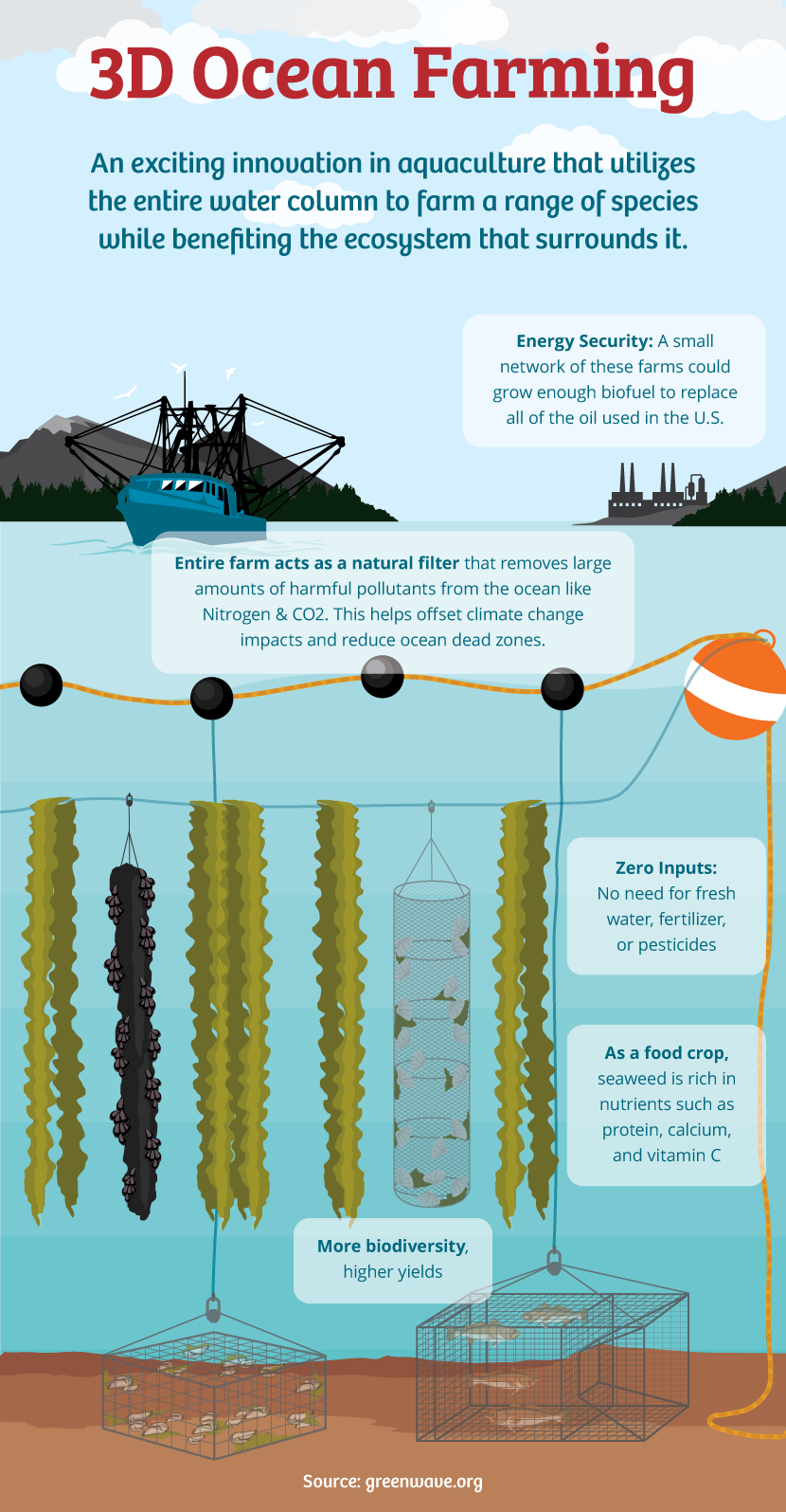 3D Ocean Farming - The Environmental Impact of Fish Farming