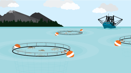 Fishing for Information: