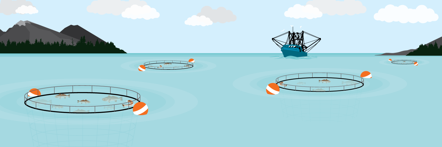 Fishing for Information: