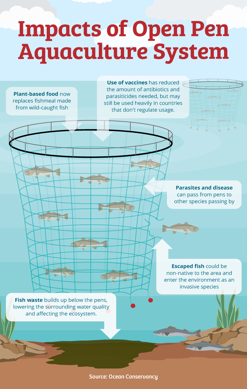 Impacts of Open Pen Aquaculture System - The Environmental Impact of Fish Farming