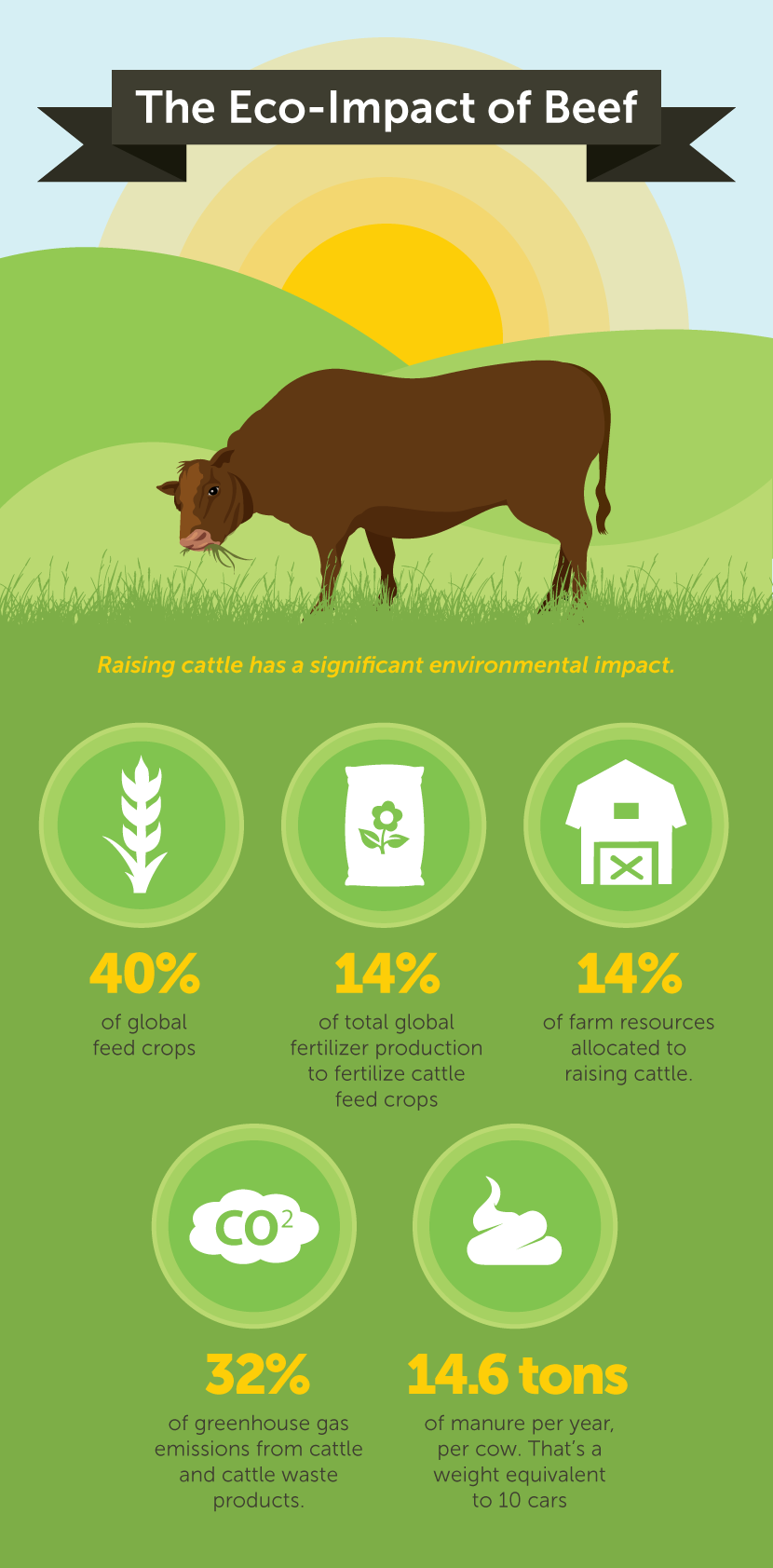 Beef Eco Impact - Become a Reducetarian